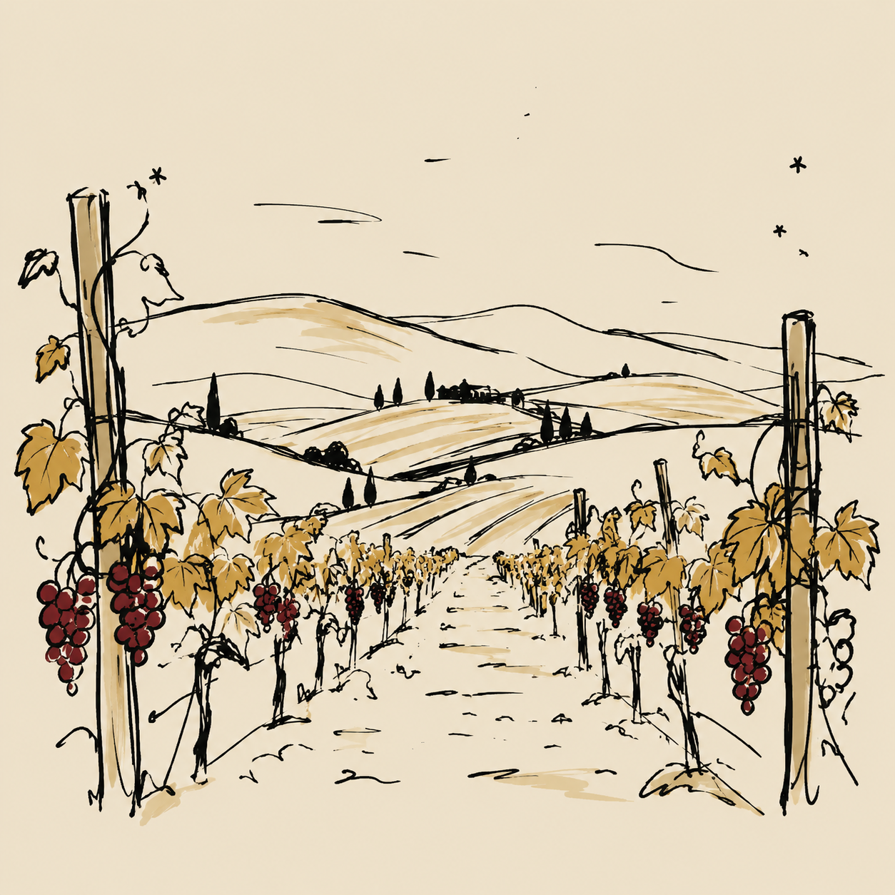 Illustrated vineyard rows